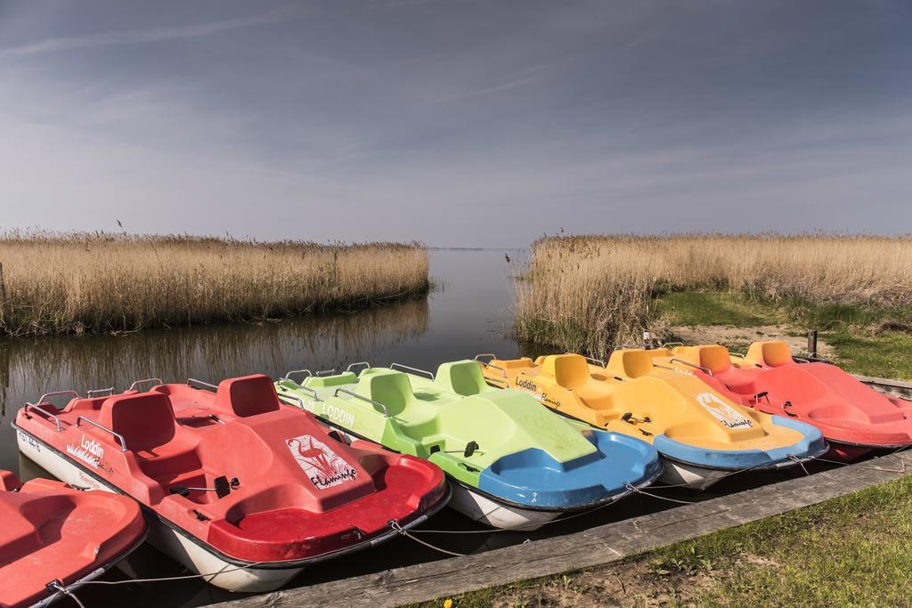 Kamphof Usedom Ferienanlage 洛丁 外观 照片